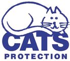 [Interim & PS] Cats Protection