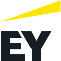 [Private Search] - Ernst & Young